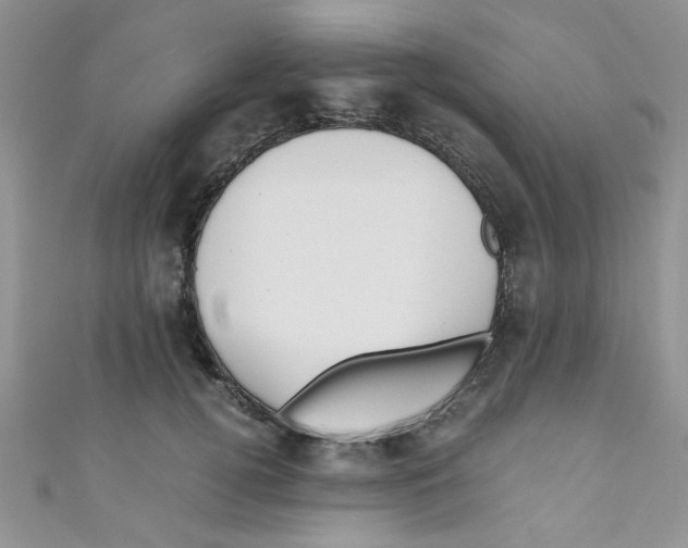 X0000111010752200907171834