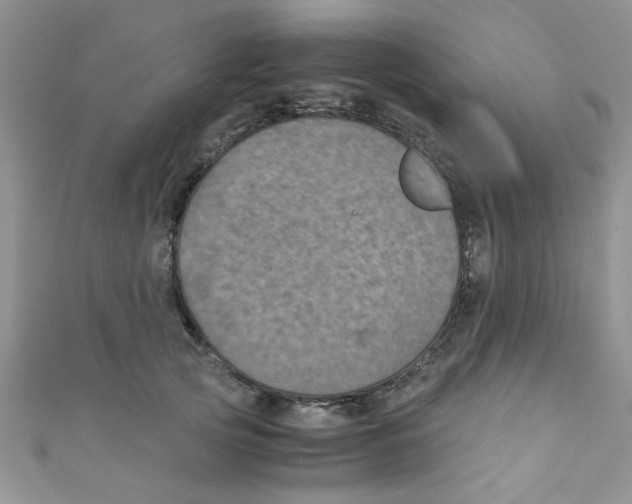 X0000111010753200907171834