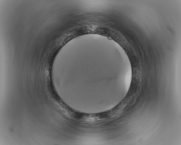 X0000111010754200907171834