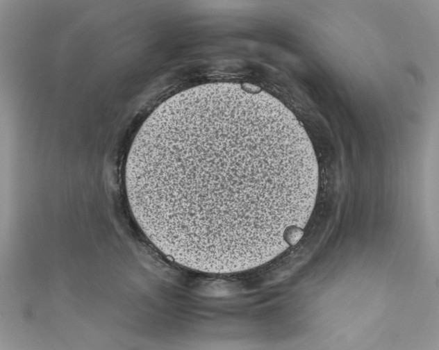 X0000111010755200907171834