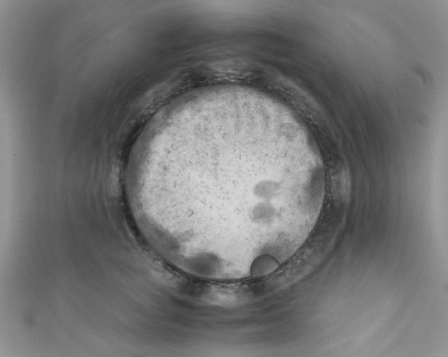 X0000111010757200907171834