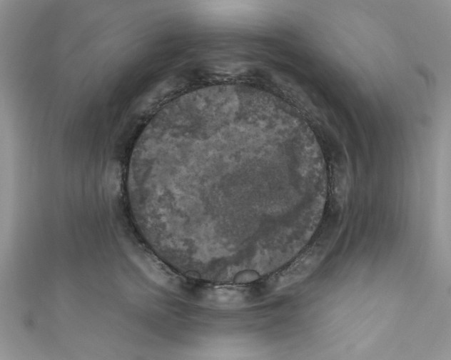 X0000111010758200907171834