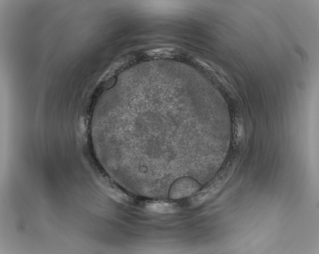 X0000111010759200907171834