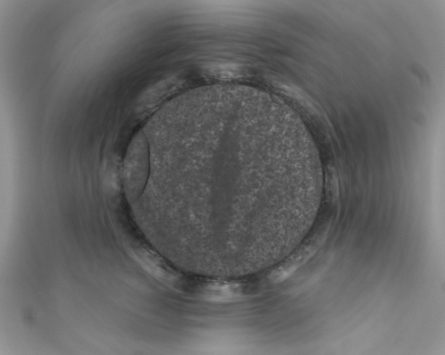 X0000111010760200907171834