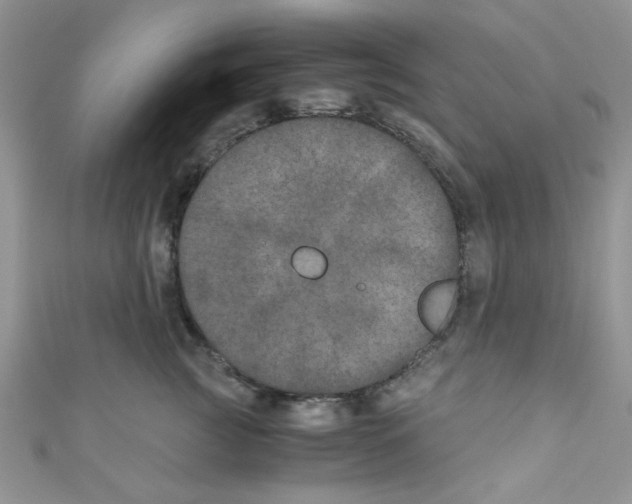 X0000111010761200907171834