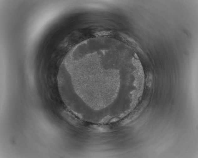 X0000111010763200907171834