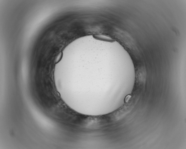 X0000111010764200907171834