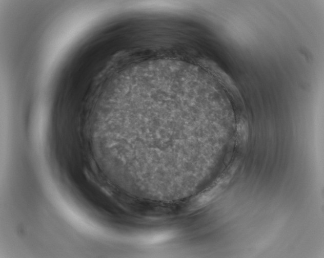 X0000111010765200907171834