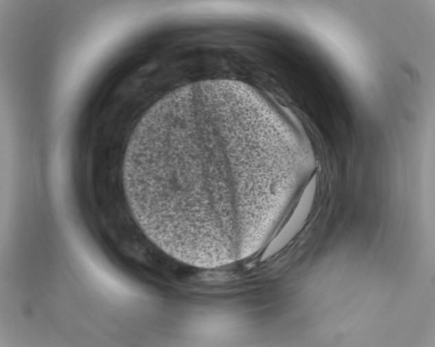 X0000111010766200907171834