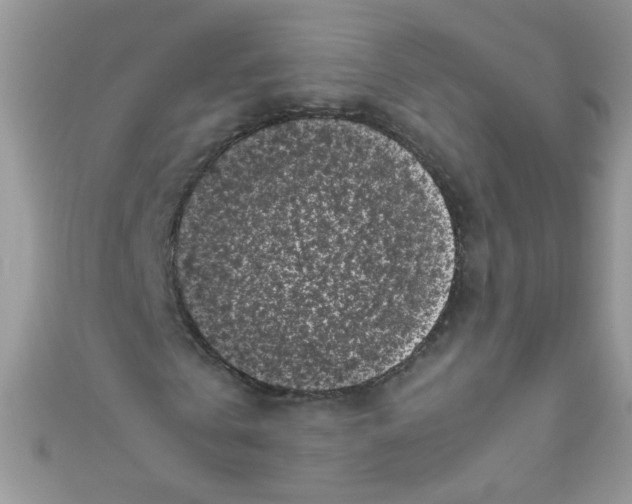 X0000111010769200907171834
