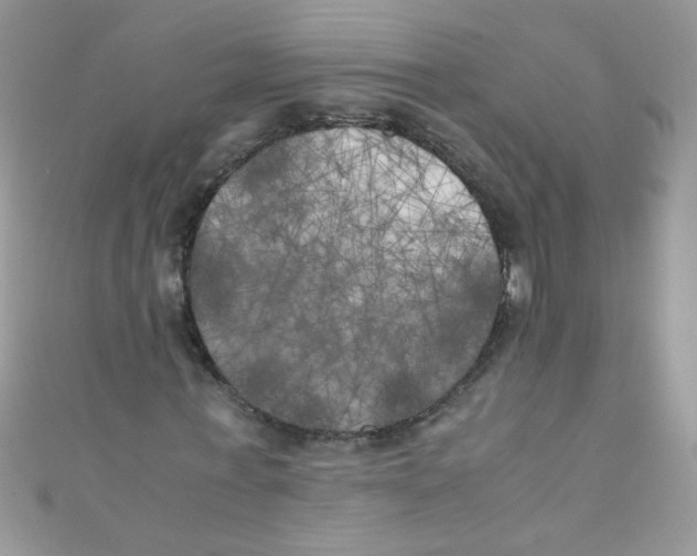 X0000111010771200907171834