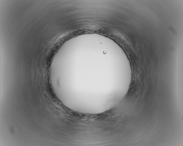 X0000111010773200907171834