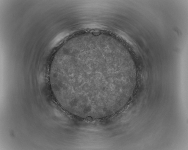 X0000111010775200907171834