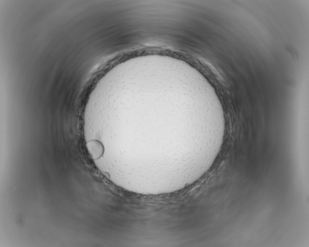 X0000111010776200907171834