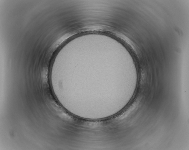 X0000111010778200907171834