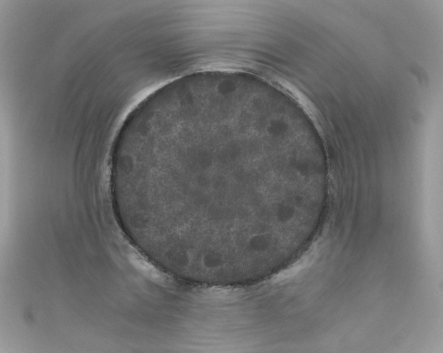 X0000111010779200907171833