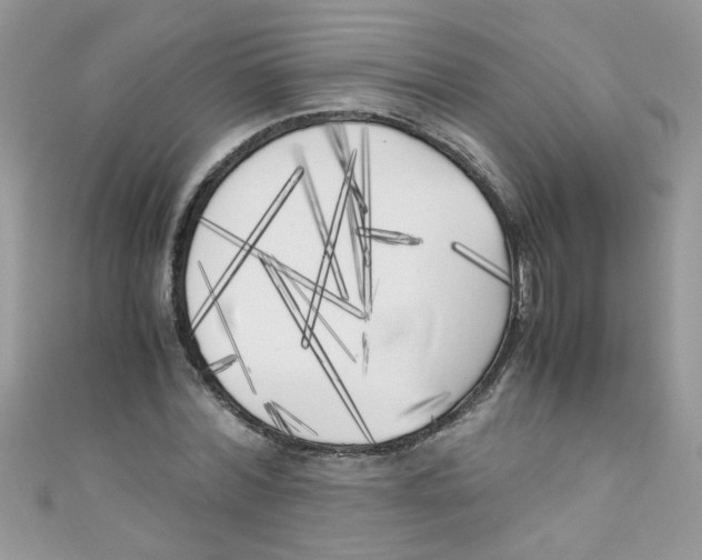 X0000111010780200907171833