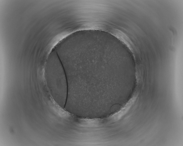 X0000111010781200907171833