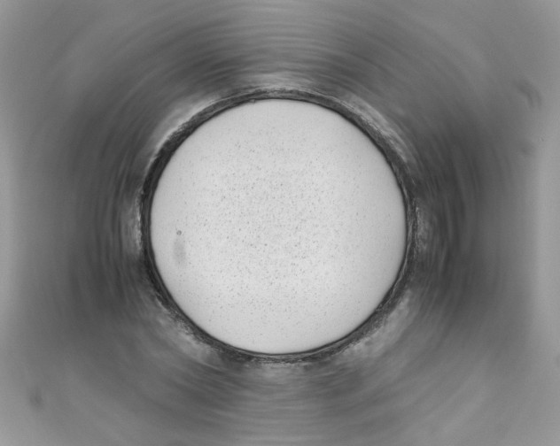 X0000111010782200907171833