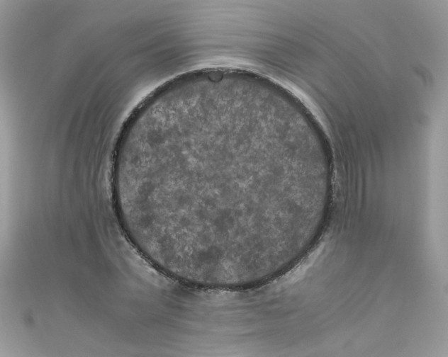 X0000111010783200907171833