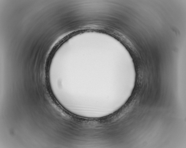 X0000111010784200907171833