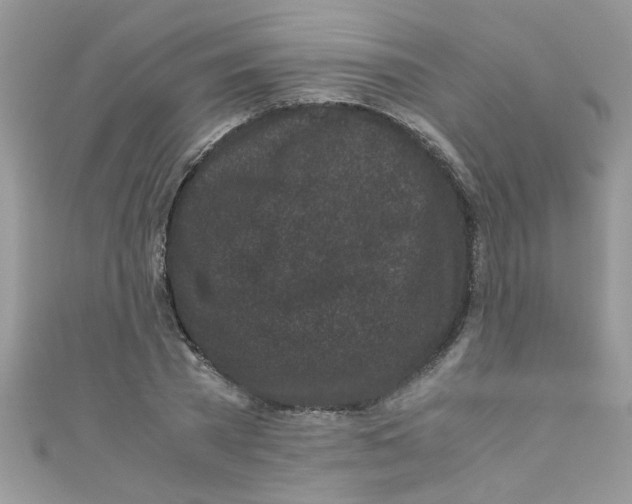X0000111010785200907171833