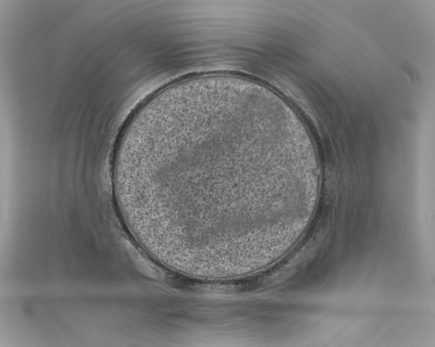 X0000111010789200907171833
