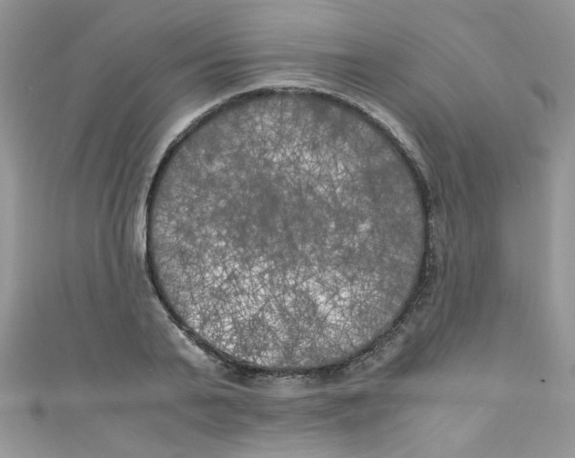 X0000111010791200907171833
