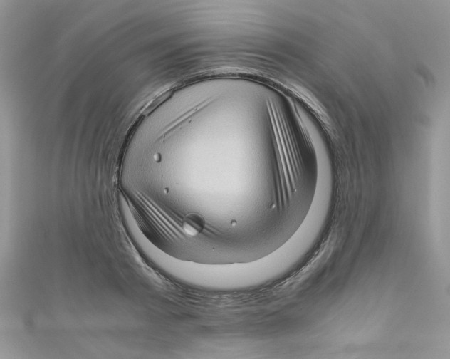 X0000111010793200907171833
