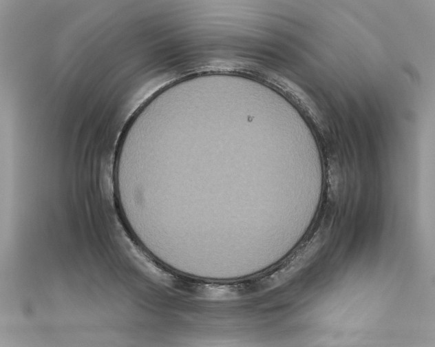 X0000111010794200907171833