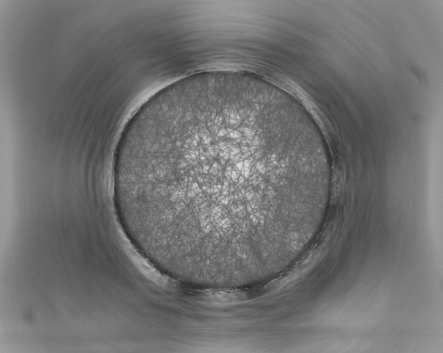 X0000111010795200907171833