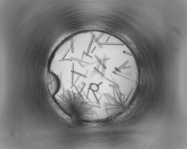 X0000111010796200907171833