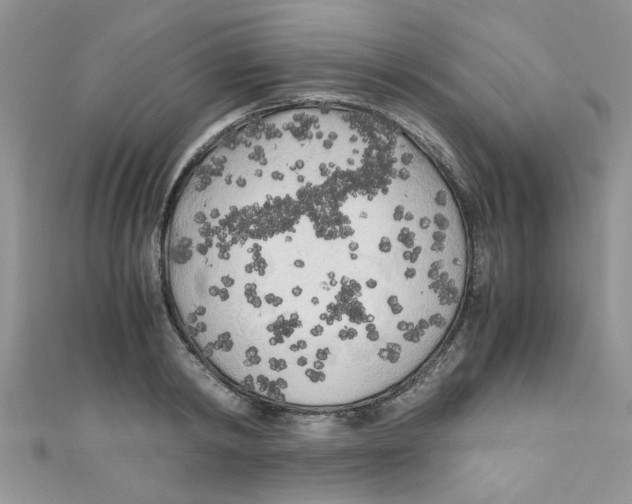 X0000111010798200907171833