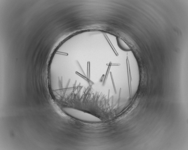 X0000111010800200907171833