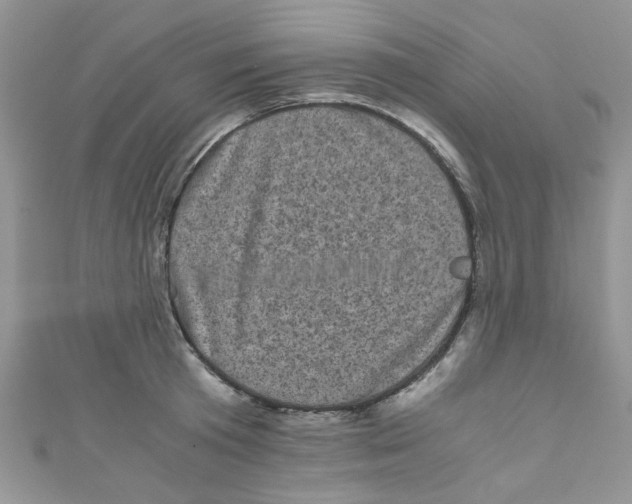 X0000111010801200907171833