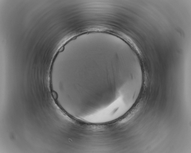 X0000111010802200907171833