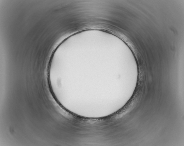 X0000111010803200907171833