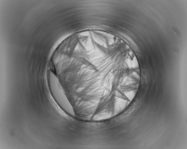 X0000111010804200907171833
