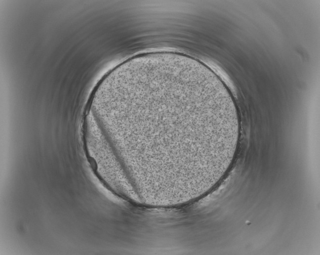 X0000111010805200907171833