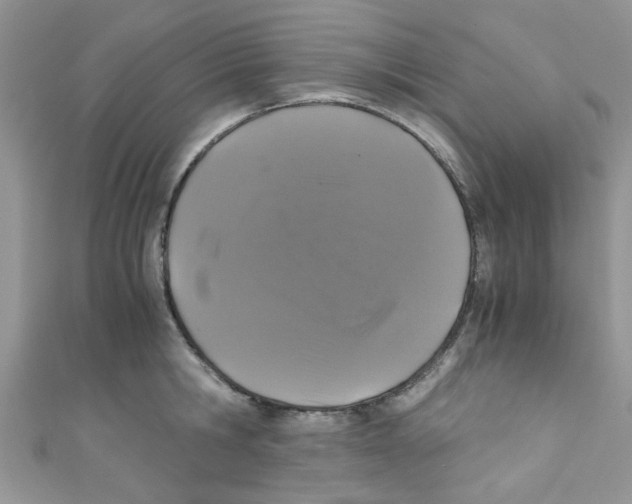 X0000111010806200907171833