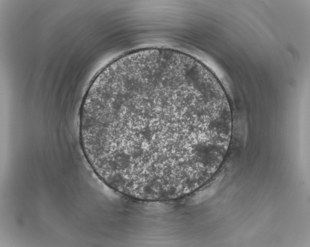 X0000111010807200907171833