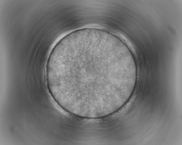 X0000111010808200907171833