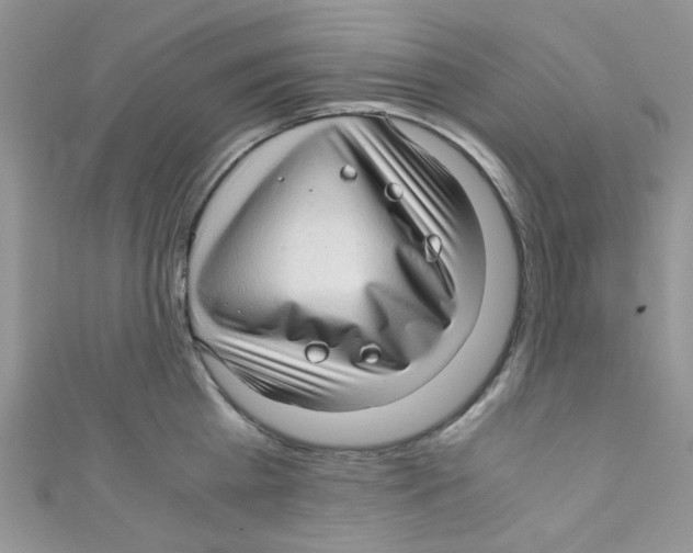 X0000111010809200907171833
