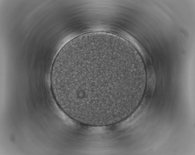 X0000111010810200907171833