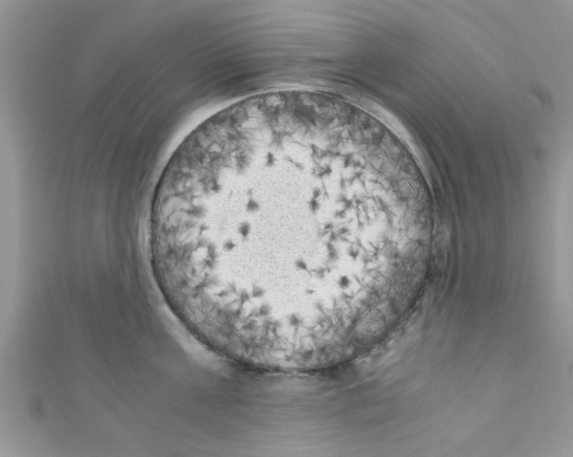 X0000111010811200907171833