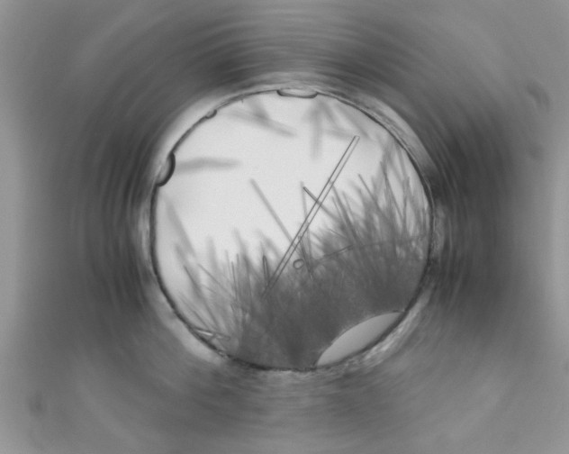 X0000111010812200907171833