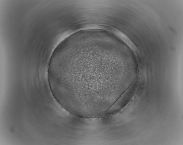 X0000111010813200907171833