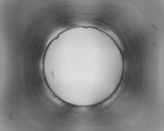 X0000111010814200907171833