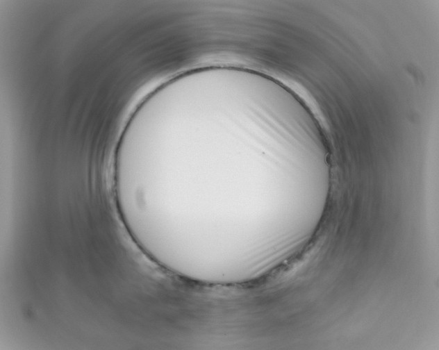 X0000111010815200907171833