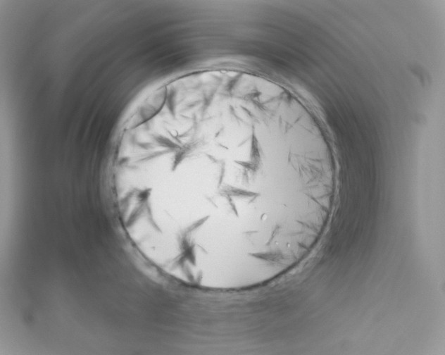 X0000111010816200907171833